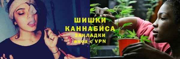 mdpv Вяземский
