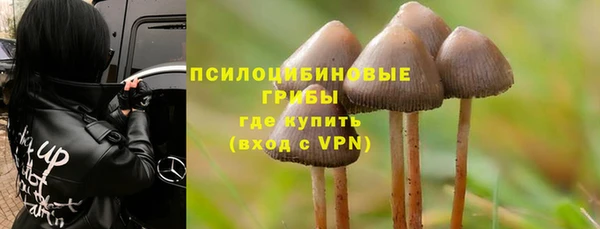 эйфоретик Вязьма