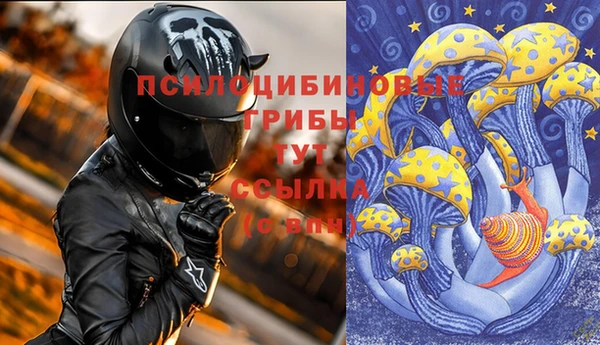 mdpv Вяземский