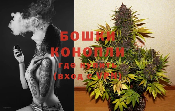 mdpv Вяземский